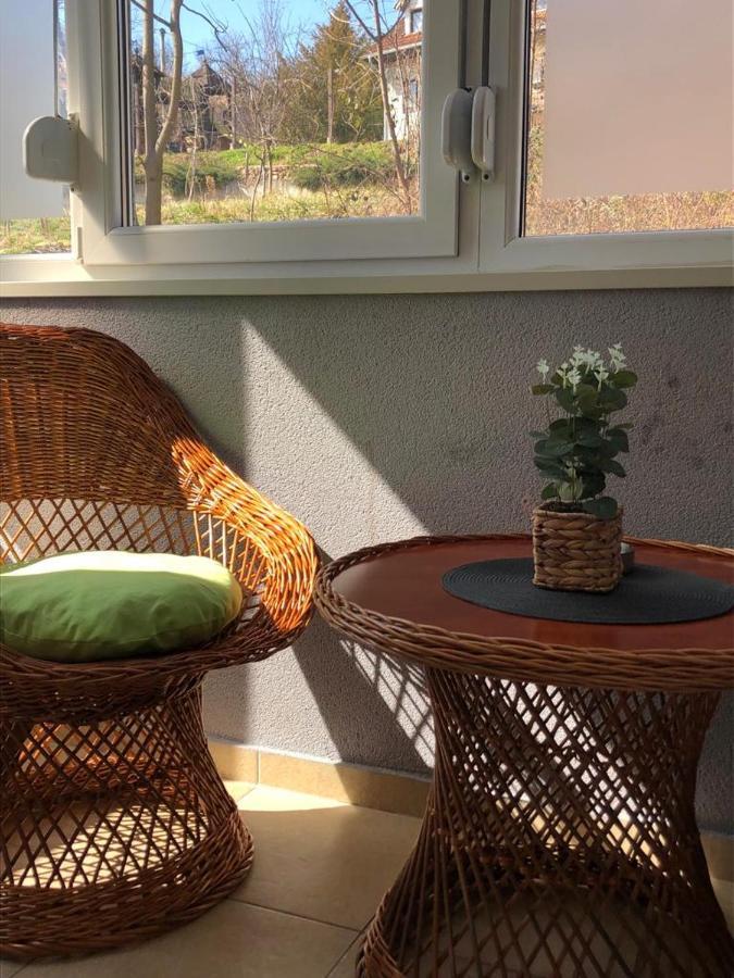 Apartman Radmanovac 2 Vrnjačka Banja Екстериор снимка